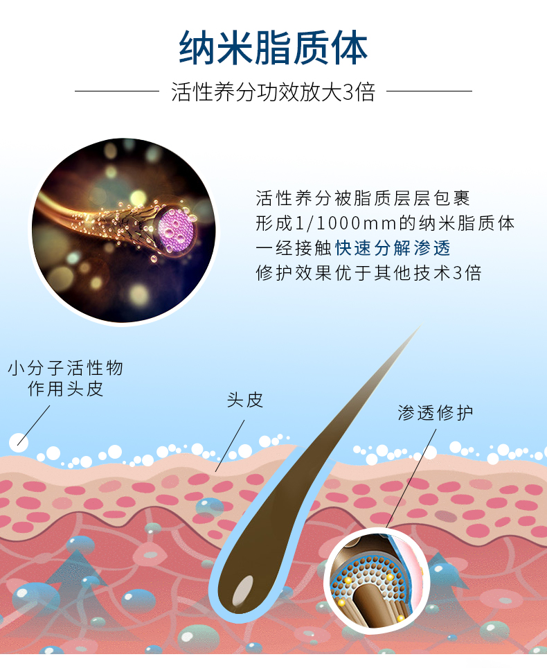 明星推荐茵妆浪漫魅惑香水控油去屑止痒留香防脱洗发水