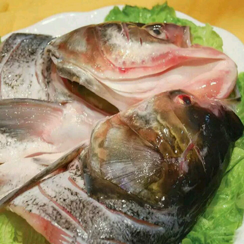 农聚源鲢鱼头1个约115kg大鱼头胖头鱼新鲜产发