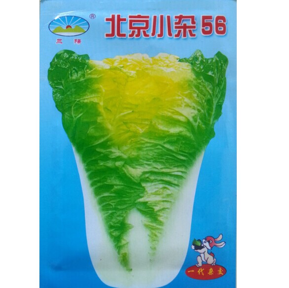 蔬菜种子 北京小杂56大白菜种子 早熟一代杂交 春秋播种 5克/包