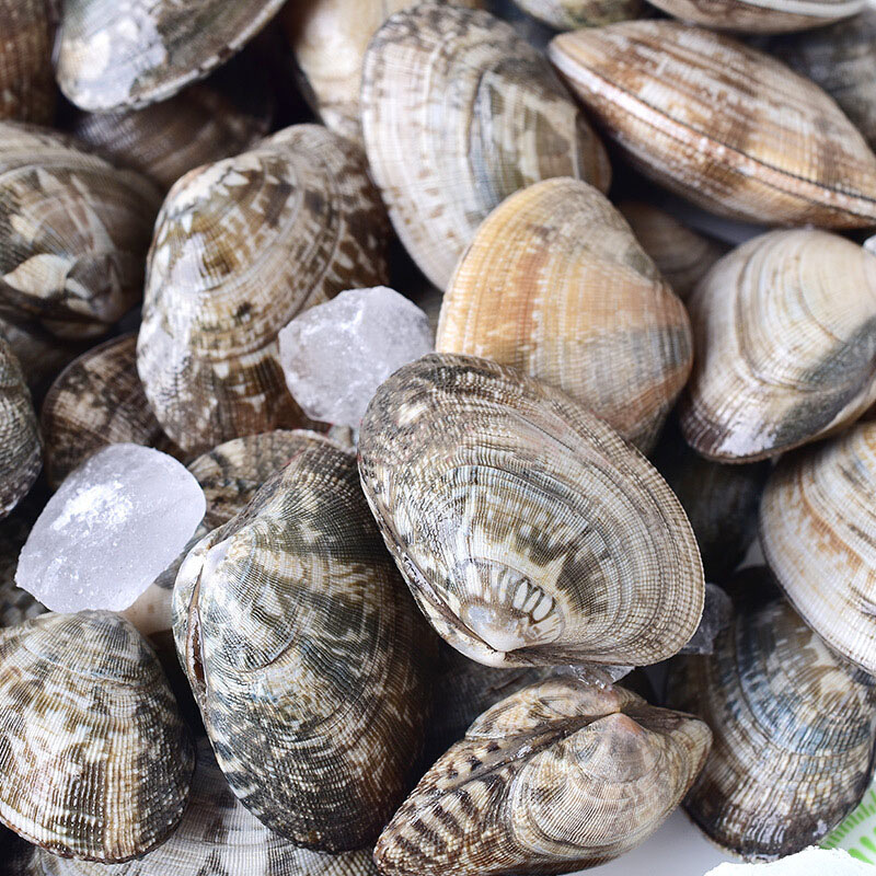 农聚源花蛤1000g花甲蛤蜊贝类新鲜产发国产生鲜