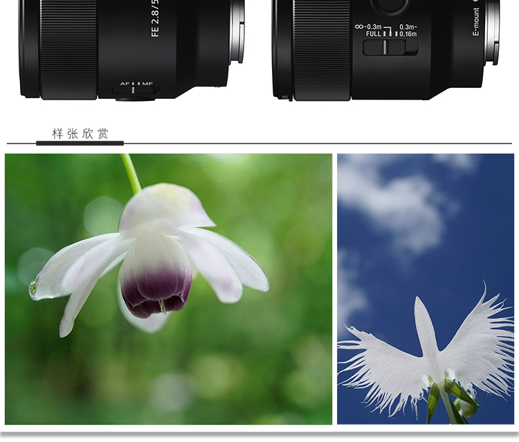 索尼sonyfe50mmf28sel50m28索尼微单相机微距镜头