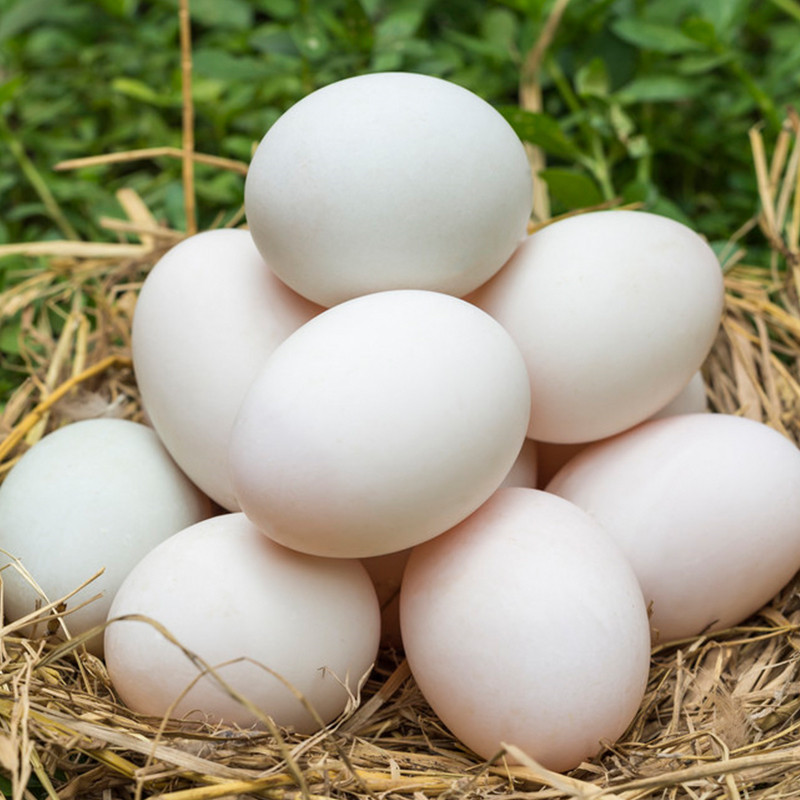 鸭蛋新鲜散养水鸭蛋微山湖农家土鸭蛋河边老麻鸭蛋可做咸鸭蛋60个约