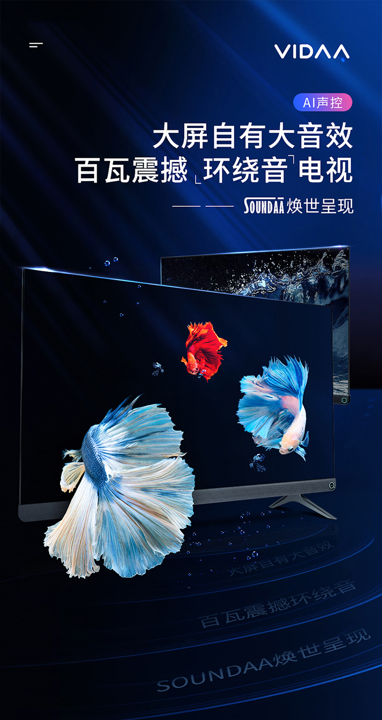 海信vidaa55v1fpro55英寸4k超高清全面屏k歌电视百瓦音响2g8g智能语音