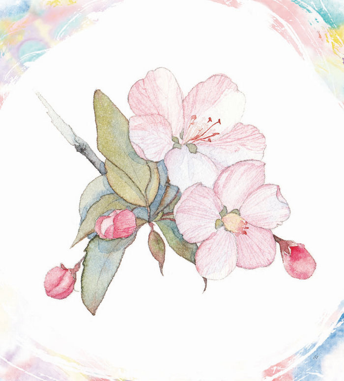 诗情花意——古风水彩花卉技法