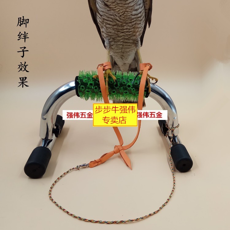 因为性大,关笼子乱扑断毛 ,我们训鹰,架鹰都需要上脚绊防止它逃跑