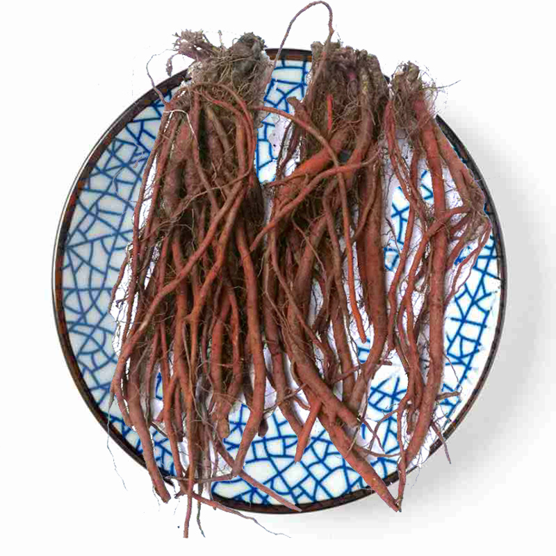 新鲜丹参500g深山原根血参根条非丹参片非粉非茶pgy