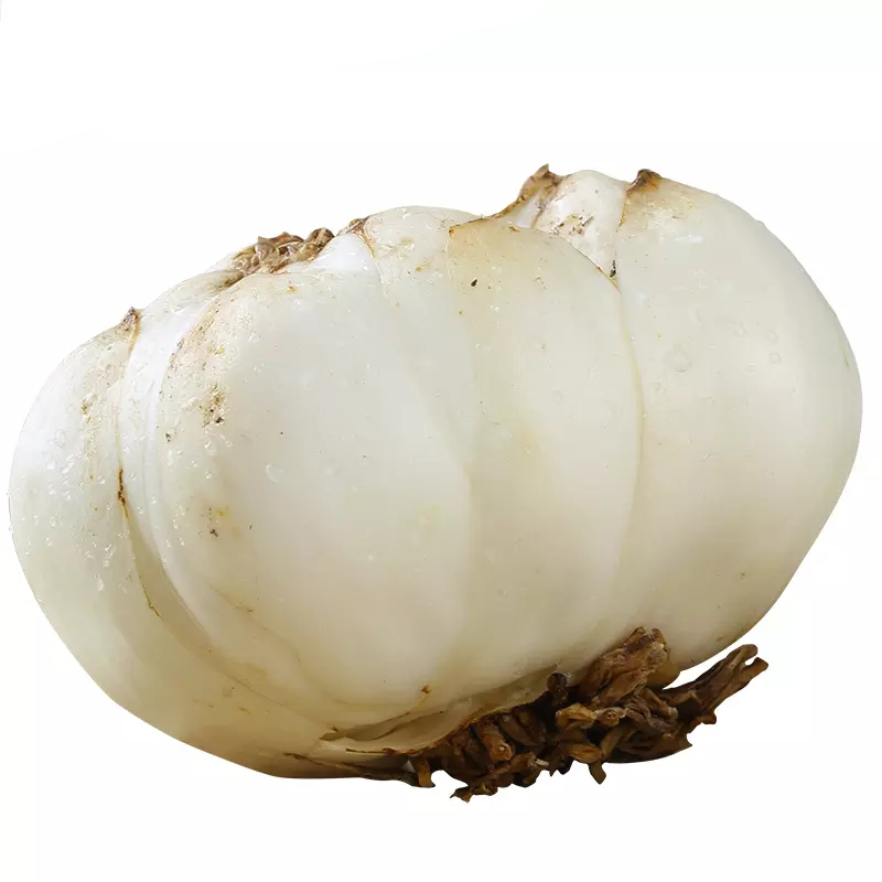 鲜百合 兰州小 百合500g新鲜甜百合蔬菜 1斤 15-18个左右 甘肃特产