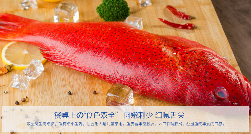 苏宁易购超市西马渔场东星斑800g