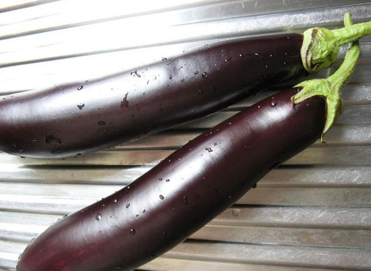 长茄子 5斤 紫黑茄子 新鲜蔬菜 产发qq