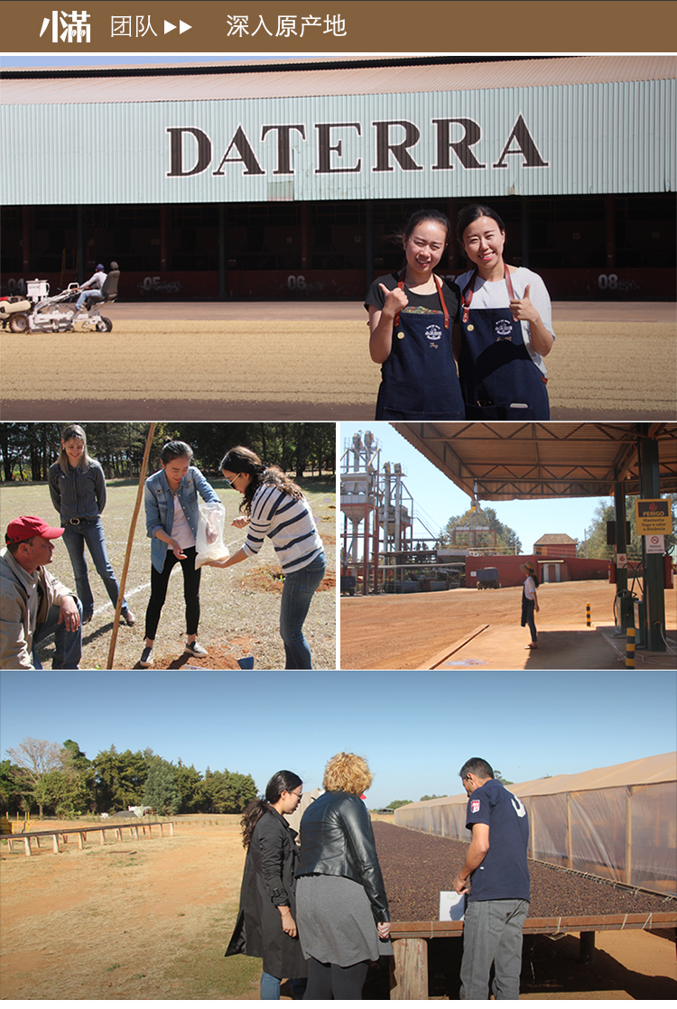 grainfull/小满 小棕熊 咖啡豆 意式特浓缩 黑阿拉比卡可现磨粉 香甜