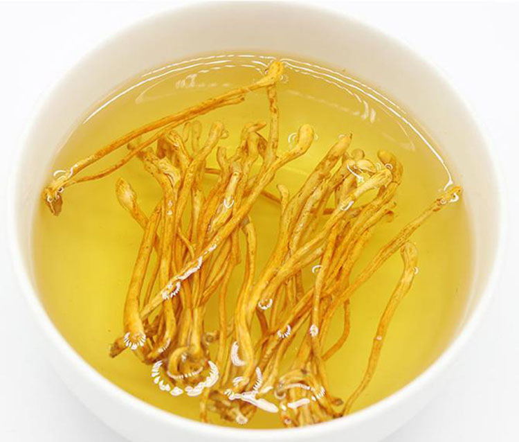 金虫草500g新鲜蔬菜虫草花蛹虫草新鲜蔬菜菌菇as