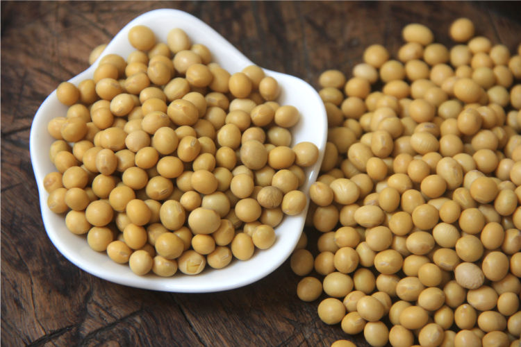 新货农家自种笨黄豆椭圆形土黄豆打豆