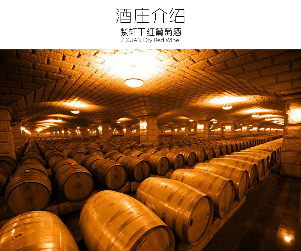 酒龙仓旗舰店紫轩瑞臻干红葡萄酒750ml嘉峪关国产干型红酒单支装