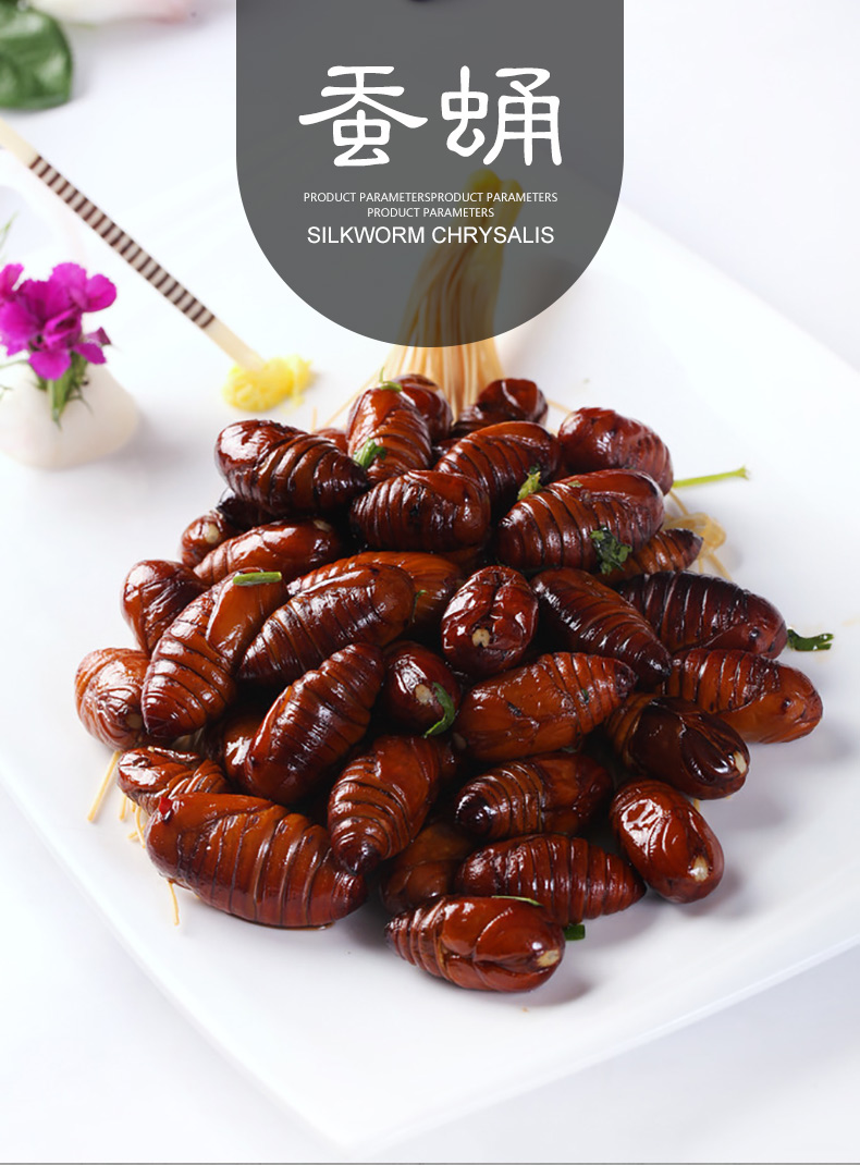 渔鼎鲜东北特产新鲜蚕蛹350g柞蚕蛹二黄大茧蛹生鲜海鲜水产
