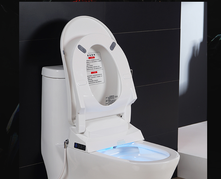 德国格来斯通用即热式智能马桶盖洁身器家用冲洗全自动加热坐便盖波迷
