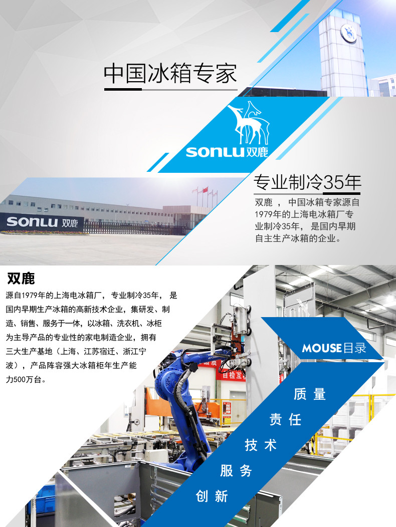 雙鹿(sonlu)bcd-136c 136升兩門小冰箱一級能效 家用租房小冰箱 (銀色