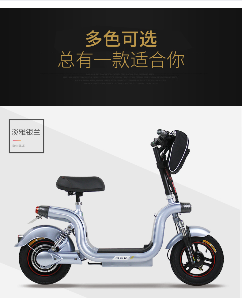 阿米尼电动车自行车电瓶车锂电12寸48v12a