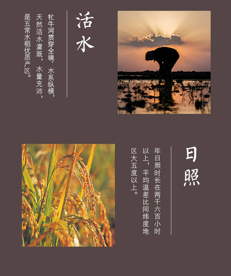 金龙鱼五常基地原香稻5kg