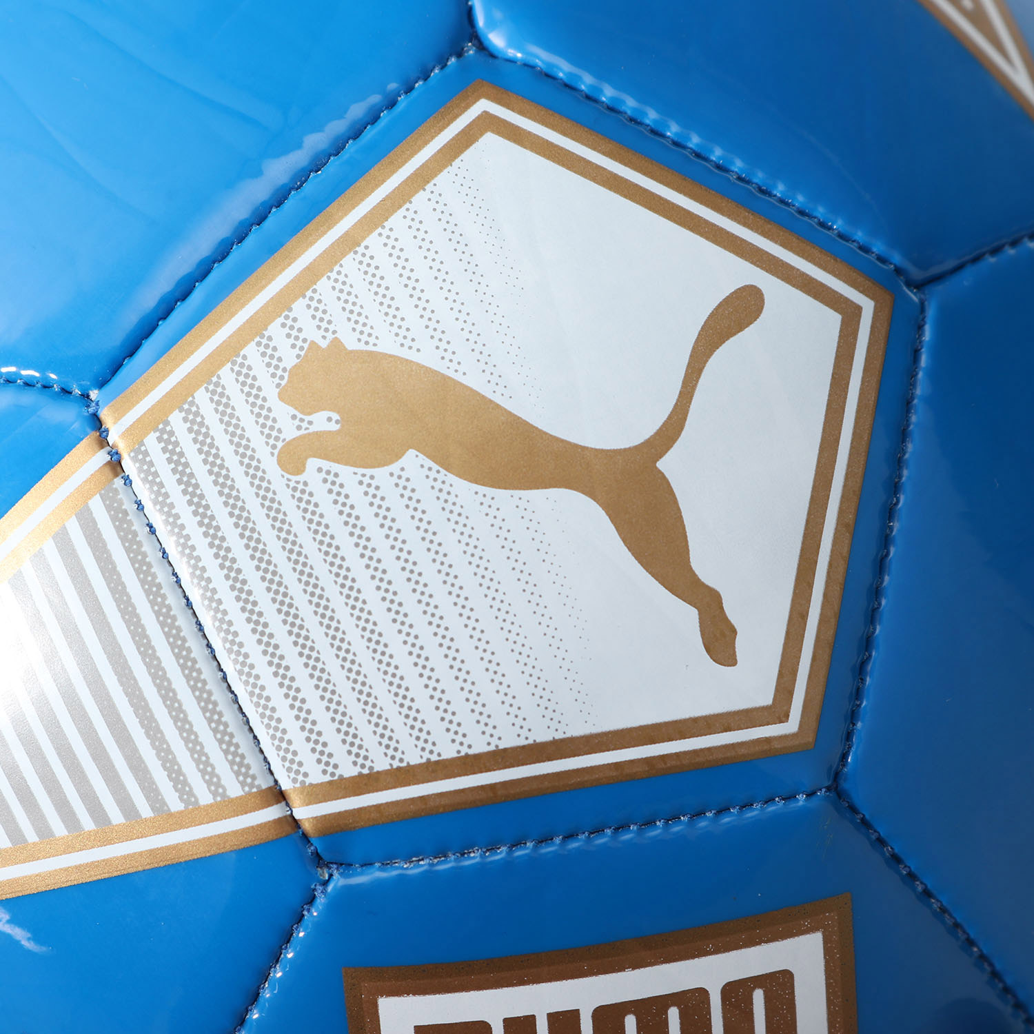 08291801彪马足球