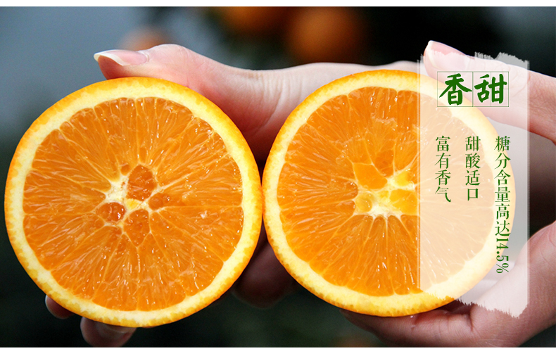 gumeicheng)】 【中华特色馆】达州馆 三峡库区云阳生态脐橙12枚果 蜂