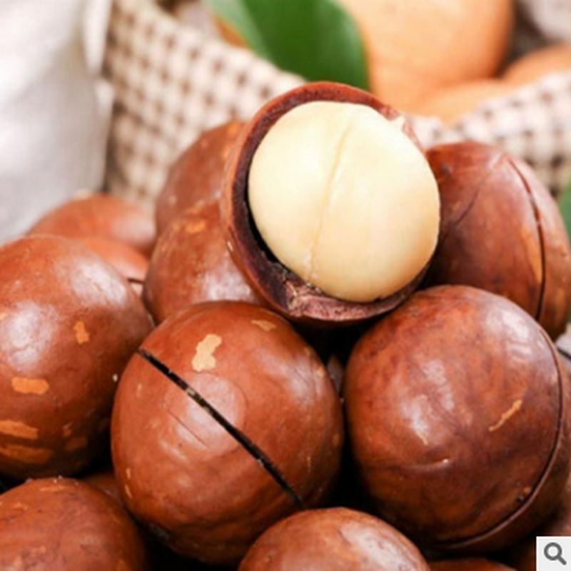 凤凰食品味滋源坚果礼盒碧根果夏威夷果春节年货大礼包6包装18年上市