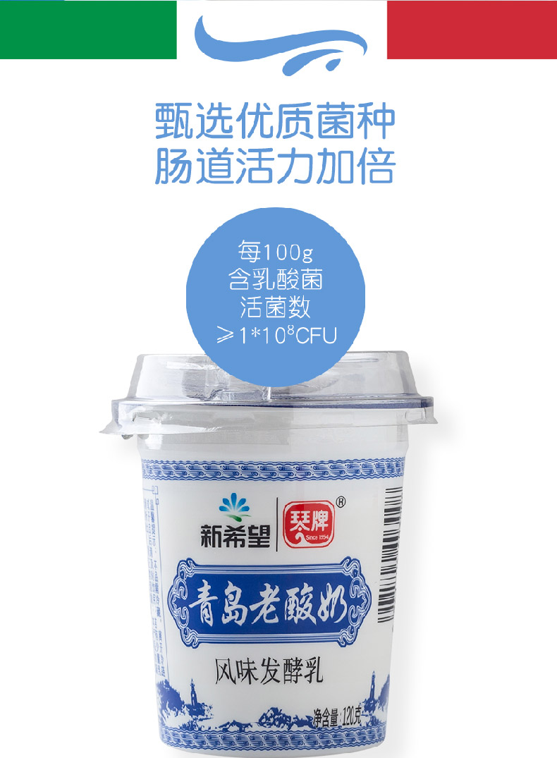 苏宁生鲜新希望琴牌青岛老酸奶风味发酵乳120g