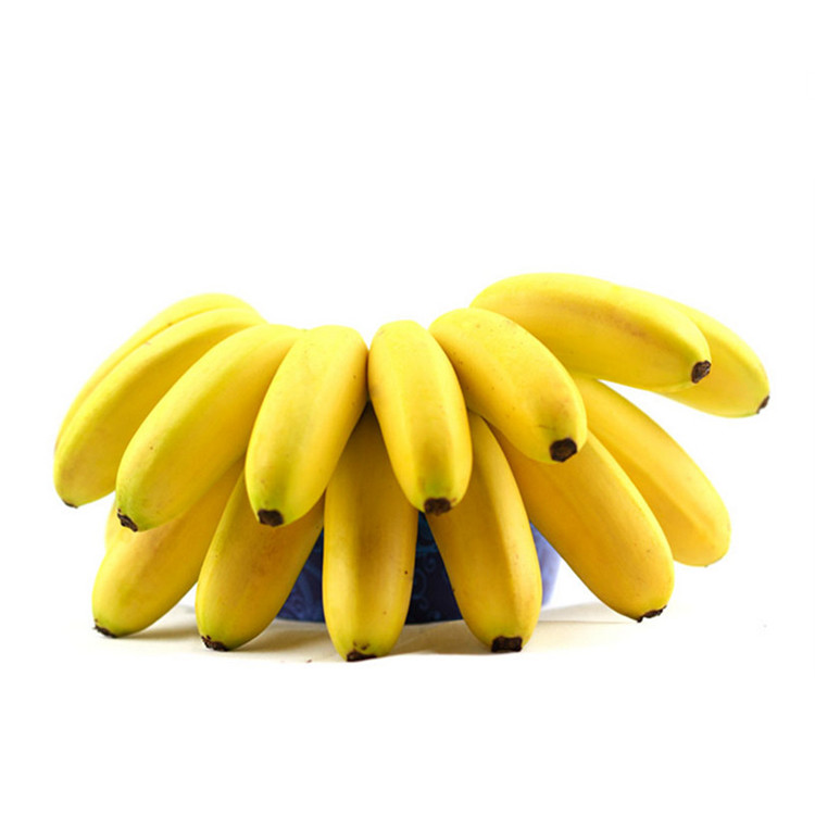 小米蕉1kg 奶蕉 泰国进口 水果 产发cf