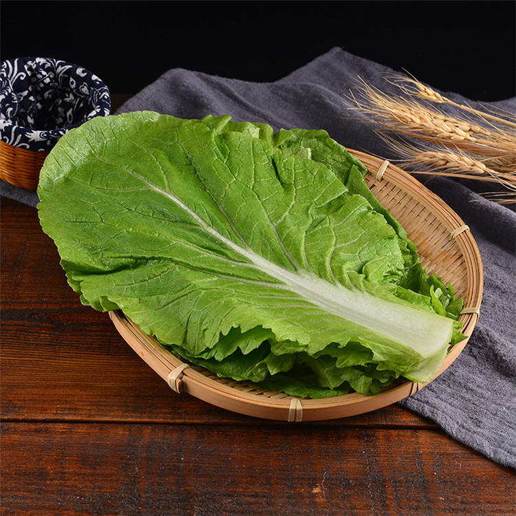 新鲜大白菜叶饭包菜叶包菜包饭白菜叶20片装蘸酱菜东北特产饭包