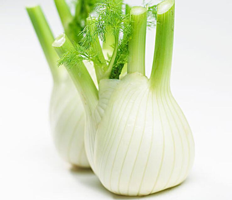 农聚源球茎茴香500g茴香头香料新鲜蔬菜as