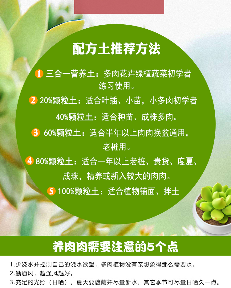 多肉土专用营养土种植土通用型园艺颗粒土花土绿萝兰花铺面石