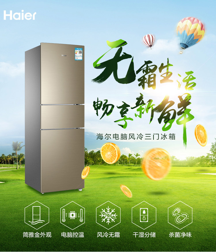 海尔冰箱 bcd-223wdpz