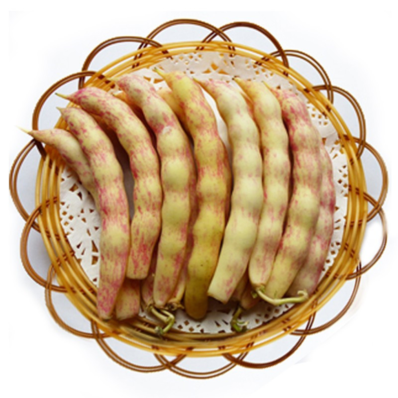 东北勾勾黄豆角 新鲜蔬菜 黄金钩豆角1.5kg 开锅烂青菜鼓豆角