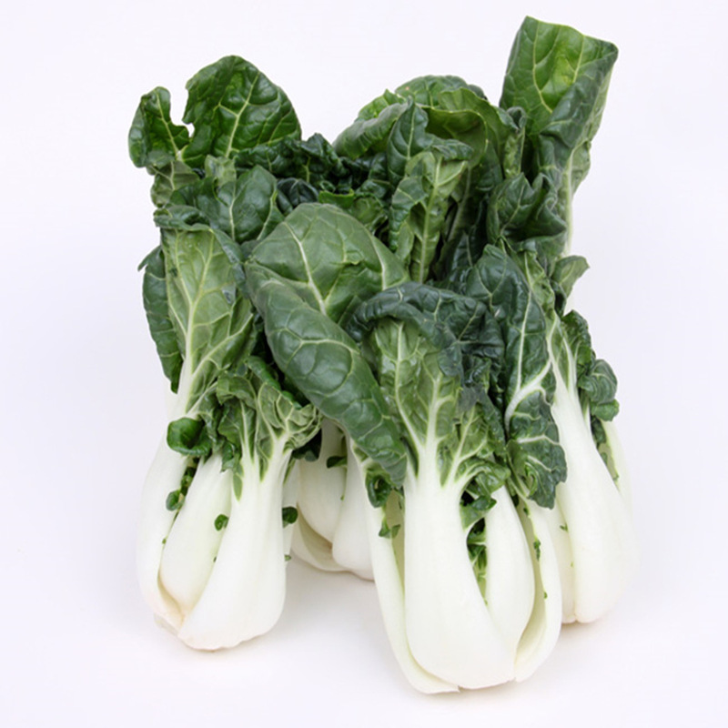 奶白菜500g小白菜奶油白菜新