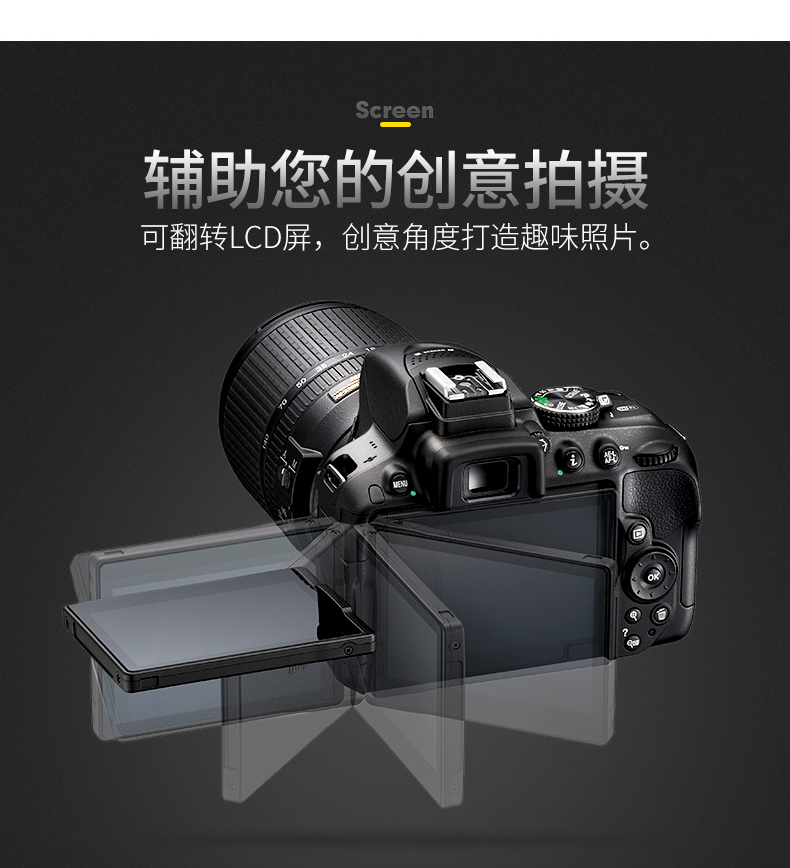 尼康 数码单反相机 D5300（AF-P 18-55 VR KIT)