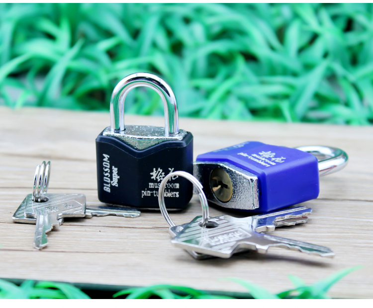 梅花挂锁 房门锁 学生抽屉箱 包胶防水挂锁 文件柜锁 宿舍锁