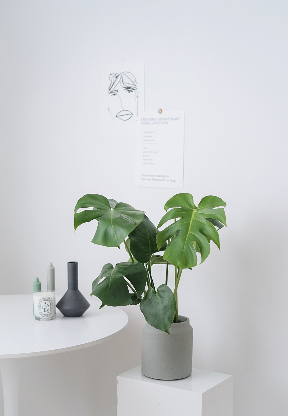 iooee龟背竹培桌面盆栽北欧风红植物