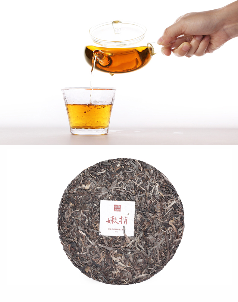 每满300减100雨林古树茶嫩梢一芽一叶古树普洱生茶300g