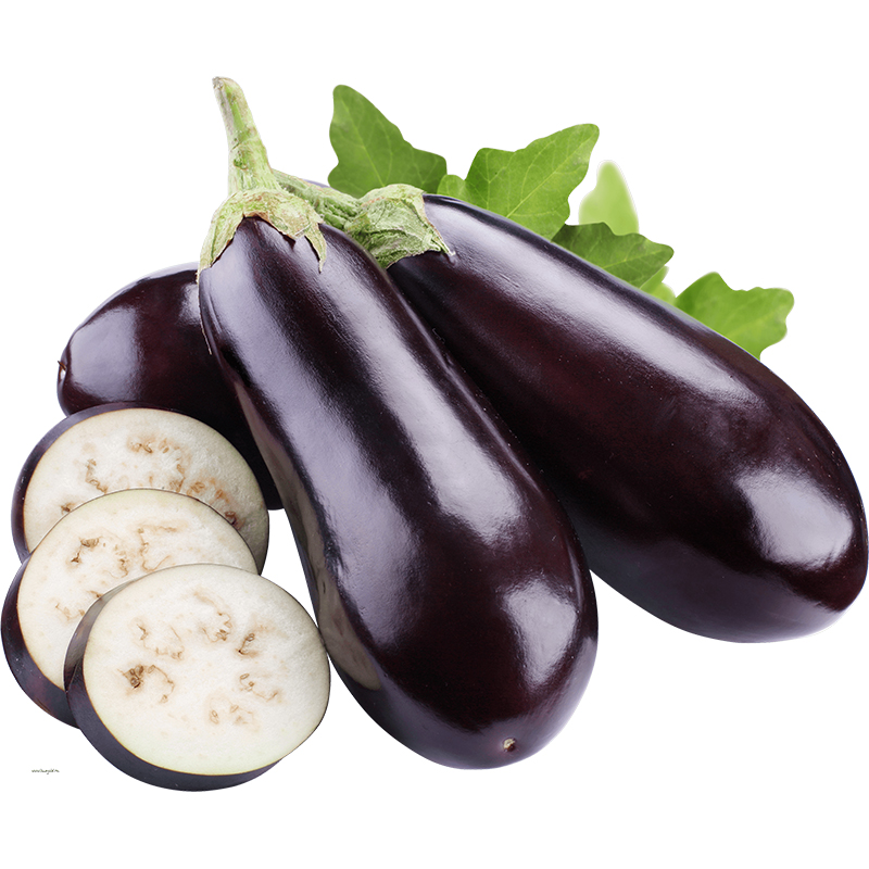 促销特色黑茄子树种子春秋高产抗四季室内植物盆栽庭院种菜观赏蔬菜