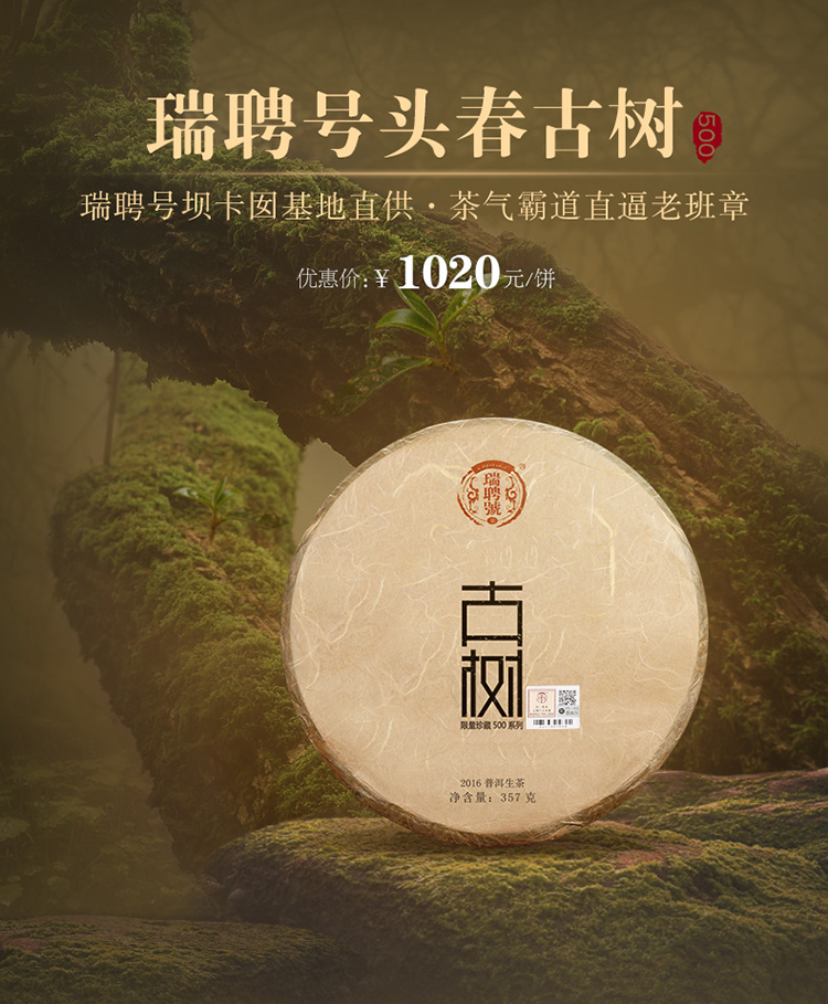 瑞聘号普洱茶生茶头春古树茶2016年古树500坝卡囡云南七子饼茶