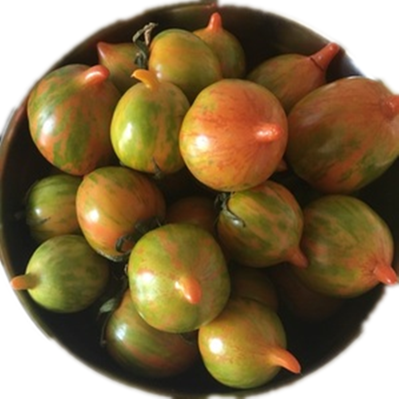 博多客叶菜类 东北花皮球柿子 东北特产 新鲜水果 农家小柿子 小番茄