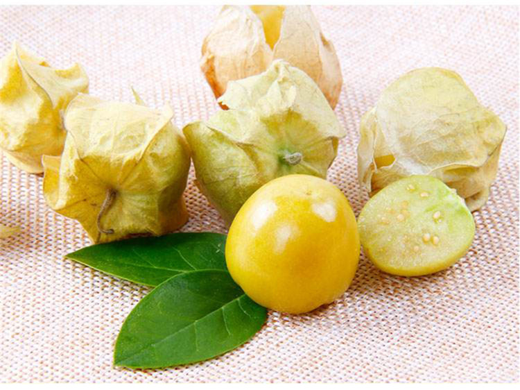 博多客更多水果 灯笼果 新鲜 农家黄姑娘 甜菇娘 珍珠果 洋姑娘 金灯