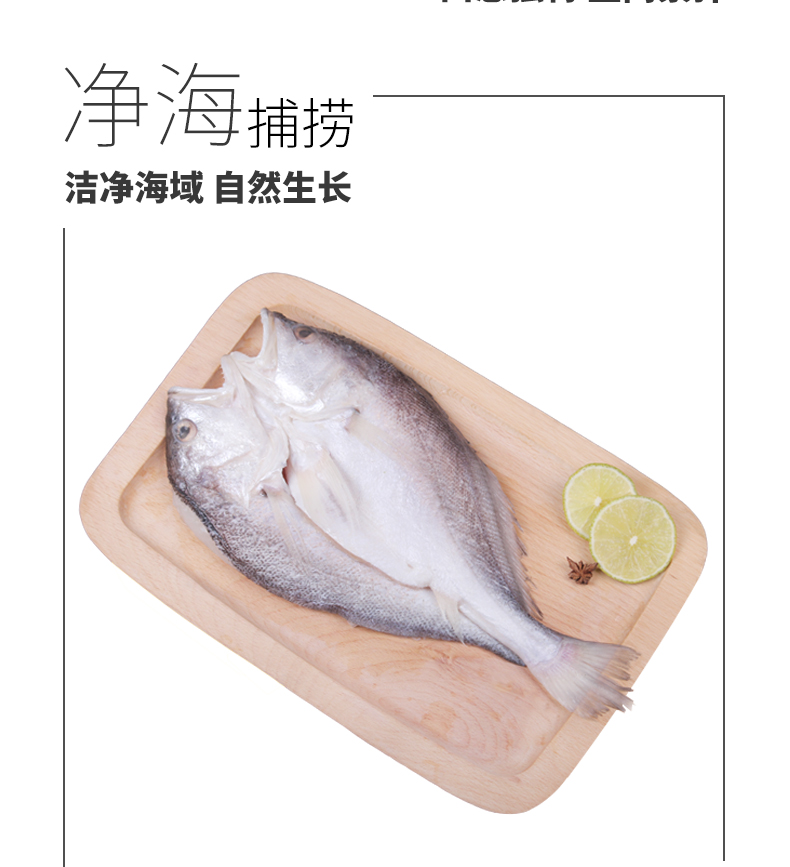 金沐运澄法国进口冷冻拉菲黄鱼海鲜大