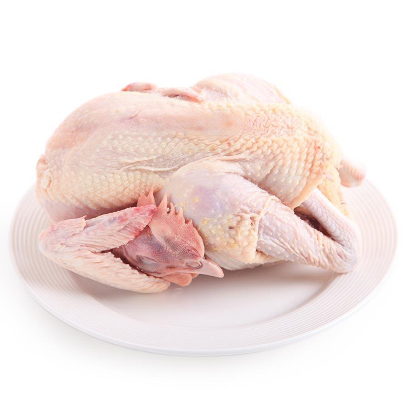 新鲜海南文昌椰子鸡生文昌鸡新鲜生鲜肉土鸡肉农家养整只约11kg顺丰