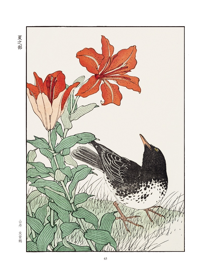 景年花鸟画谱鸟类禽类绘画图案初学者入门绘画教材临摹设计素材花卉