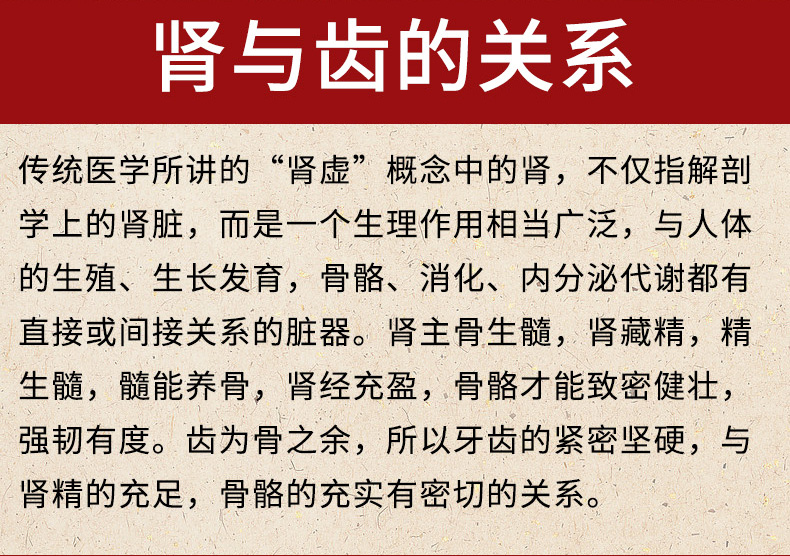 九芝堂补肾固齿丸4g8袋水丸补肾固齿活血解毒肾虚火旺牙齿酸软松动