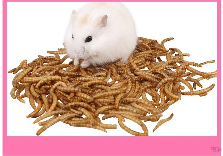 仓鼠粮食刺猬面包虫干黄粉虫龟粮仓鼠用品仓鼠罐装