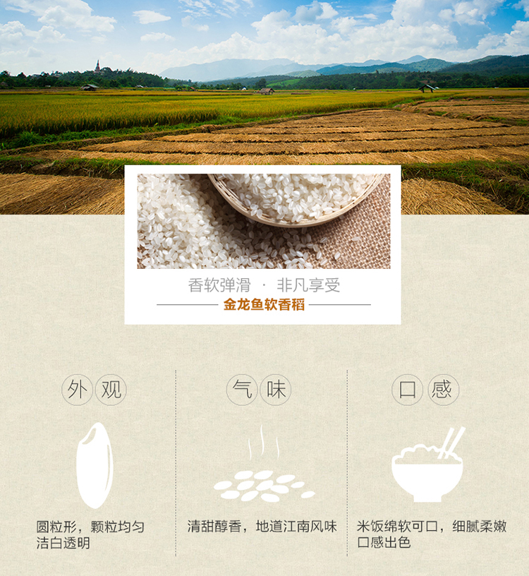 金龙鱼苏北大米软香稻5kg