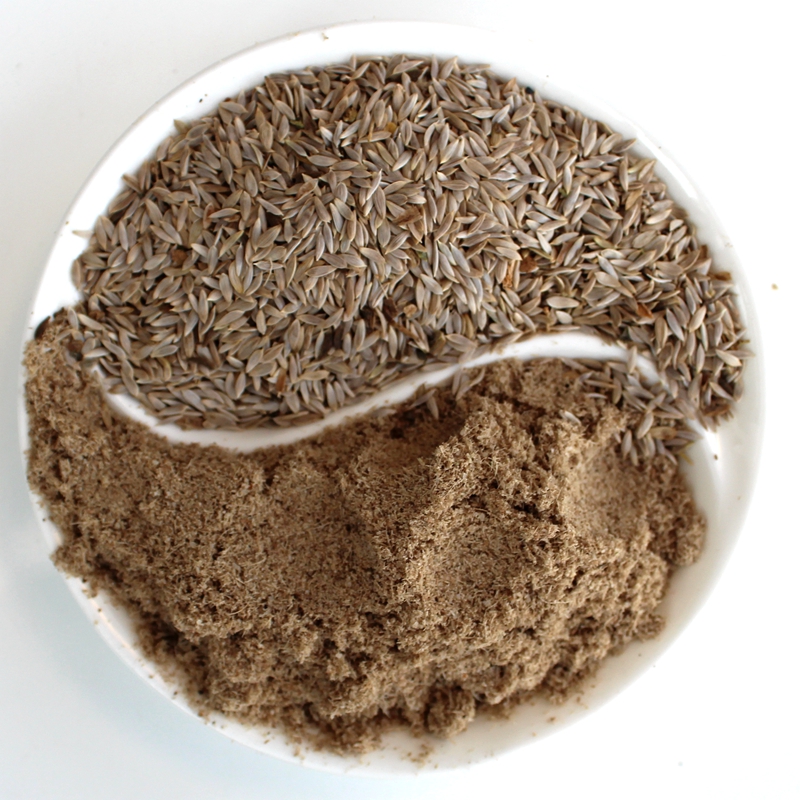 大菜园 生菜籽粉 500g 新鲜生菜 纯生菜子粉 可搭配黑芝麻籽黄瓜籽