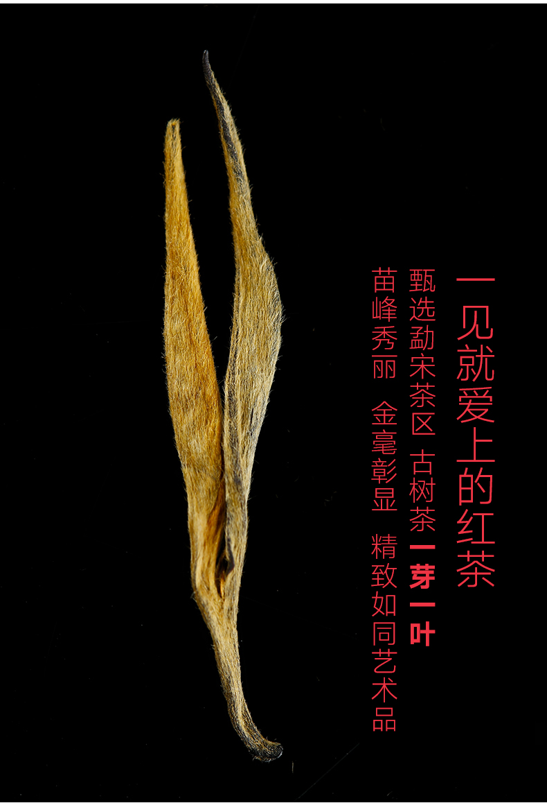 每满300减100雨林古树茶2018年勐宋茶区一芽一叶古树滇红茶150g