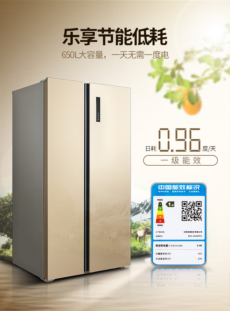 美菱冰箱BCD-650WPCX